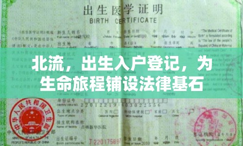 北流，出生入戶登記，為生命旅程鋪設(shè)法律基石