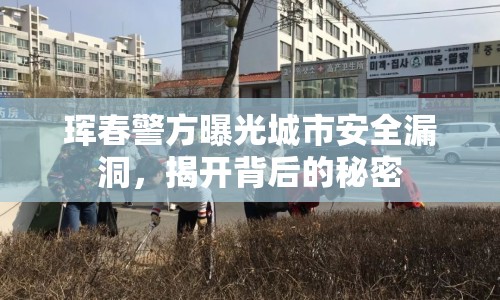 琿春警方曝光城市安全漏洞，揭開(kāi)背后的秘密