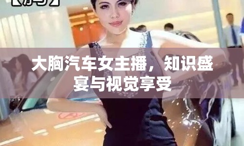 大胸汽車女主播，知識(shí)盛宴與視覺享受
