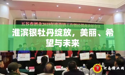 淮濱銀牡丹綻放，美麗、希望與未來
