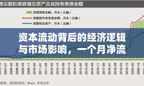 資本流動背后的經(jīng)濟邏輯與市場影響，一個月凈流出揭示的真相