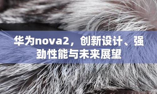 華為nova2，創(chuàng)新設(shè)計、強(qiáng)勁性能與未來展望