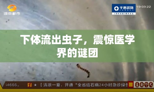 下體流出蟲子，震驚醫(yī)學界的謎團