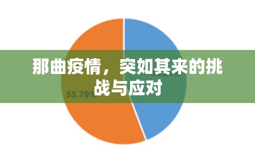 那曲疫情，突如其來的挑戰(zhàn)與應對