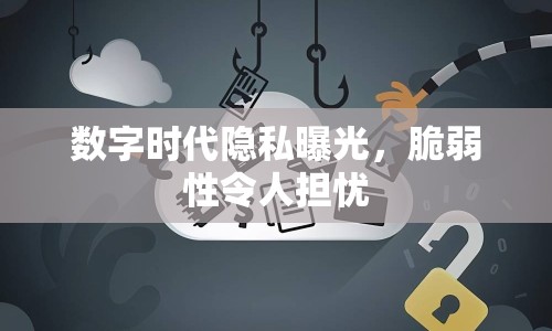 數(shù)字時代隱私曝光，脆弱性令人擔(dān)憂