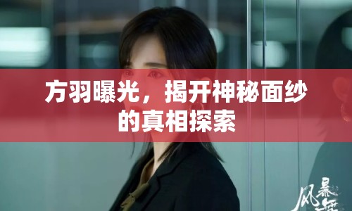 方羽曝光，揭開神秘面紗的真相探索