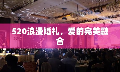 520浪漫婚禮，愛的完美融合