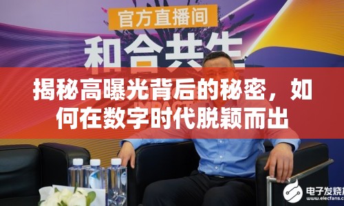 揭秘高曝光背后的秘密，如何在數(shù)字時(shí)代脫穎而出