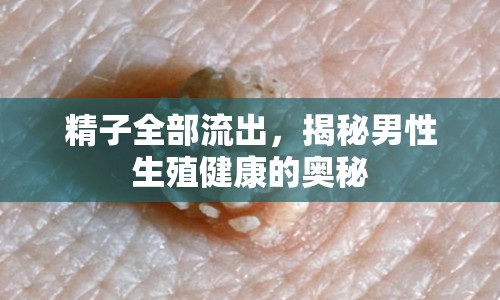 精子全部流出，揭秘男性生殖健康的奧秘