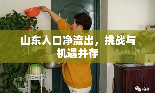 山東人口凈流出，挑戰(zhàn)與機(jī)遇并存