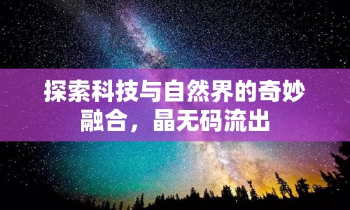 探索科技與自然界的奇妙融合，晶無碼流出