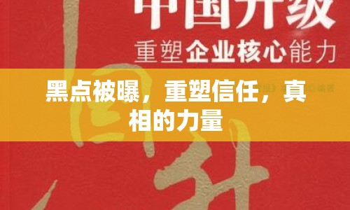 黑點(diǎn)被曝，重塑信任，真相的力量