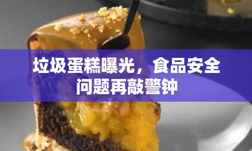 垃圾蛋糕曝光，食品安全問題再敲警鐘
