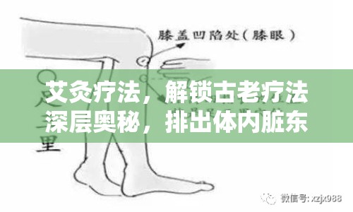 艾灸療法，解鎖古老療法深層奧秘，排出體內(nèi)臟東西