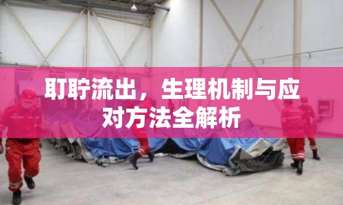 耵聹流出，生理機(jī)制與應(yīng)對(duì)方法全解析