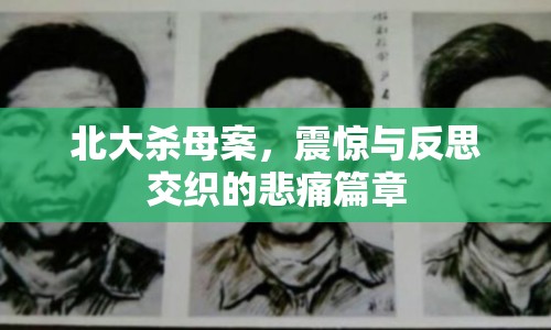 北大殺母案，震驚與反思交織的悲痛篇章