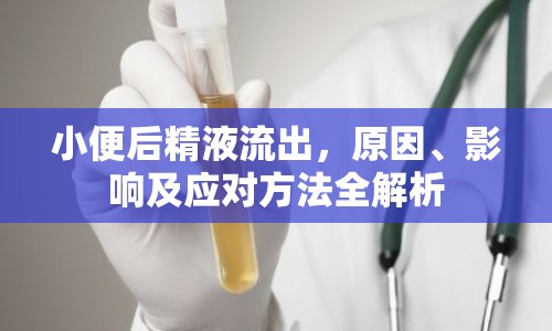 小便后精液流出，原因、影響及應(yīng)對方法全解析