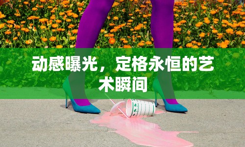 動(dòng)感曝光，定格永恒的藝術(shù)瞬間