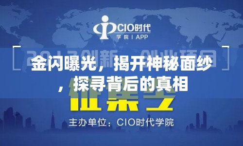 金閃曝光，揭開神秘面紗，探尋背后的真相