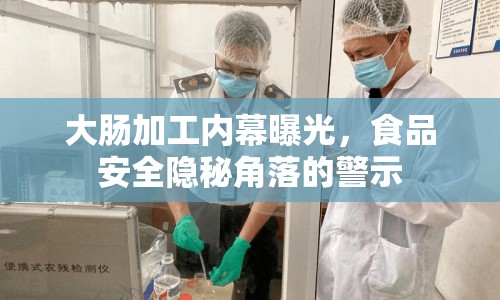 大腸加工內(nèi)幕曝光，食品安全隱秘角落的警示