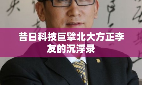 昔日科技巨擘北大方正李友的沉浮錄