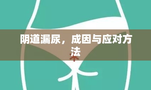 陰道漏尿，成因與應(yīng)對方法