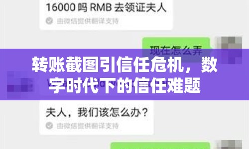 轉(zhuǎn)賬截圖引信任危機(jī)，數(shù)字時(shí)代下的信任難題