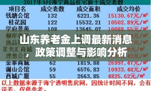 山東養(yǎng)老金上調(diào)最新消息，政策調(diào)整與影響分析