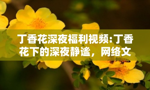 丁香花深夜福利視頻:丁香花下的深夜靜謐，網(wǎng)絡(luò)文化的新探索