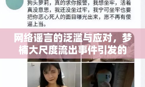 網(wǎng)絡(luò)謠言的泛濫與應(yīng)對(duì)，夢(mèng)楠大尺度流出事件引發(fā)的思考