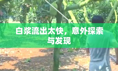 白漿流出太快，意外探索與發(fā)現(xiàn)