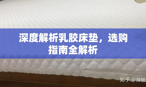 深度解析乳膠床墊，選購指南全解析