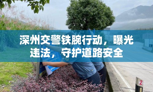 深州交警鐵腕行動(dòng)，曝光違法，守護(hù)道路安全