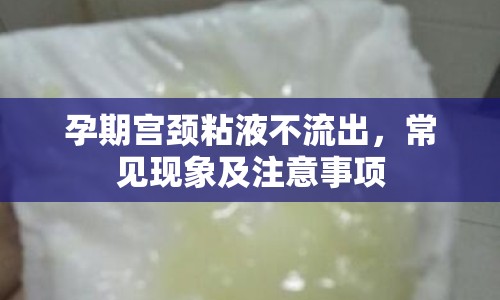 孕期宮頸粘液不流出，常見(jiàn)現(xiàn)象及注意事項(xiàng)