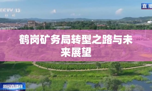 鶴崗礦務(wù)局轉(zhuǎn)型之路與未來(lái)展望