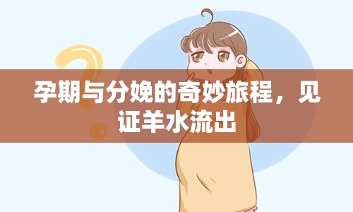 孕期與分娩的奇妙旅程，見證羊水流出