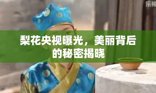 梨花央視曝光，美麗背后的秘密揭曉