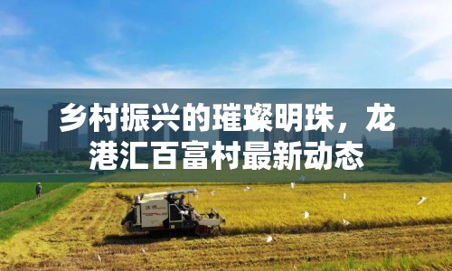 鄉(xiāng)村振興的璀璨明珠，龍港匯百富村最新動態(tài)