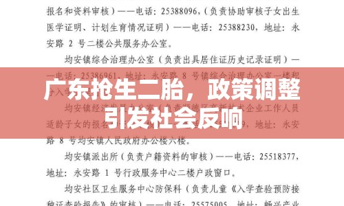 廣東搶生二胎，政策調(diào)整引發(fā)社會(huì)反響