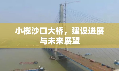小欖沙口大橋，建設(shè)進展與未來展望