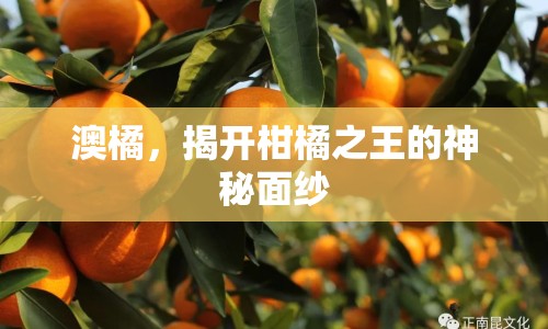 澳橘，揭開(kāi)柑橘之王的神秘面紗