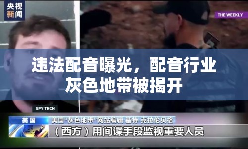 違法配音曝光，配音行業(yè)灰色地帶被揭開
