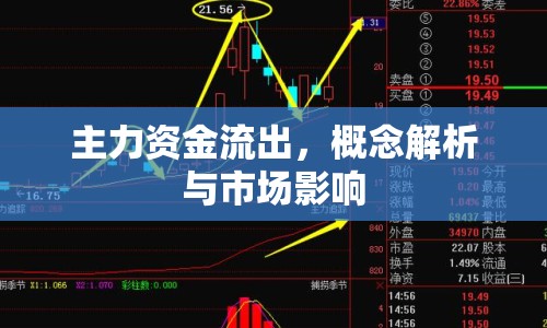 主力資金流出，概念解析與市場影響