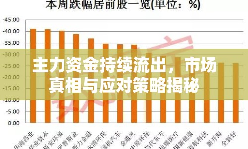 主力資金持續(xù)流出，市場真相與應(yīng)對策略揭秘