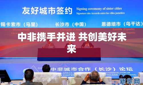 中非攜手并進(jìn) 共創(chuàng)美好未來