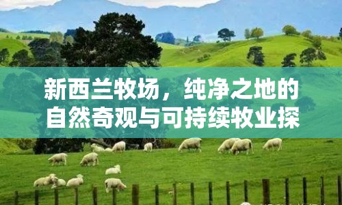 新西蘭牧場，純凈之地的自然奇觀與可持續(xù)牧業(yè)探索