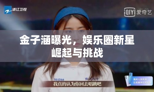 金子涵曝光，娛樂(lè)圈新星崛起與挑戰(zhàn)