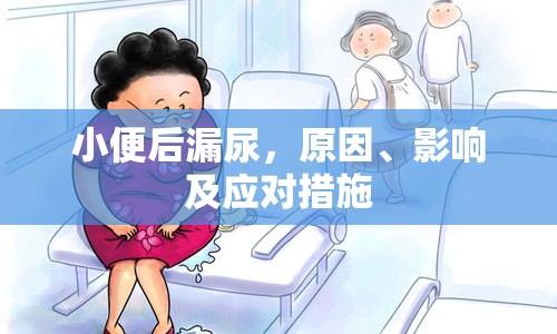 小便后漏尿，原因、影響及應(yīng)對措施