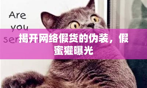 揭開網(wǎng)絡(luò)假貨的偽裝，假蜜獾曝光