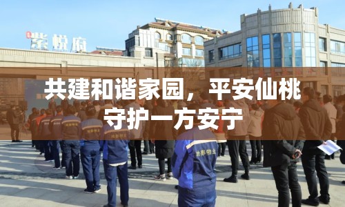 共建和諧家園，平安仙桃守護(hù)一方安寧